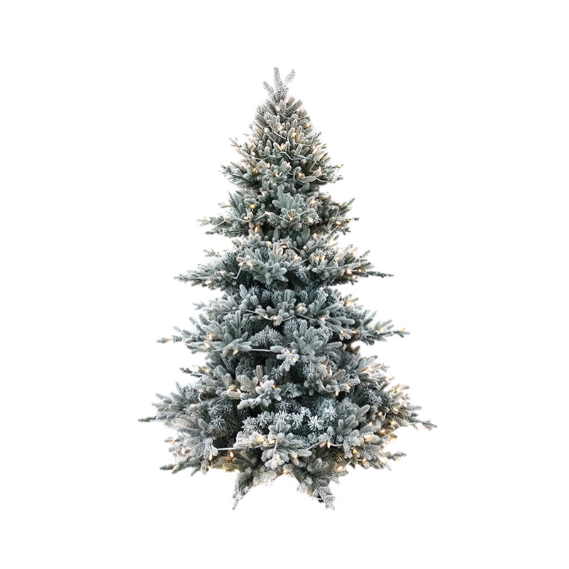 Snowy Fraser Spruce Christmas Tree