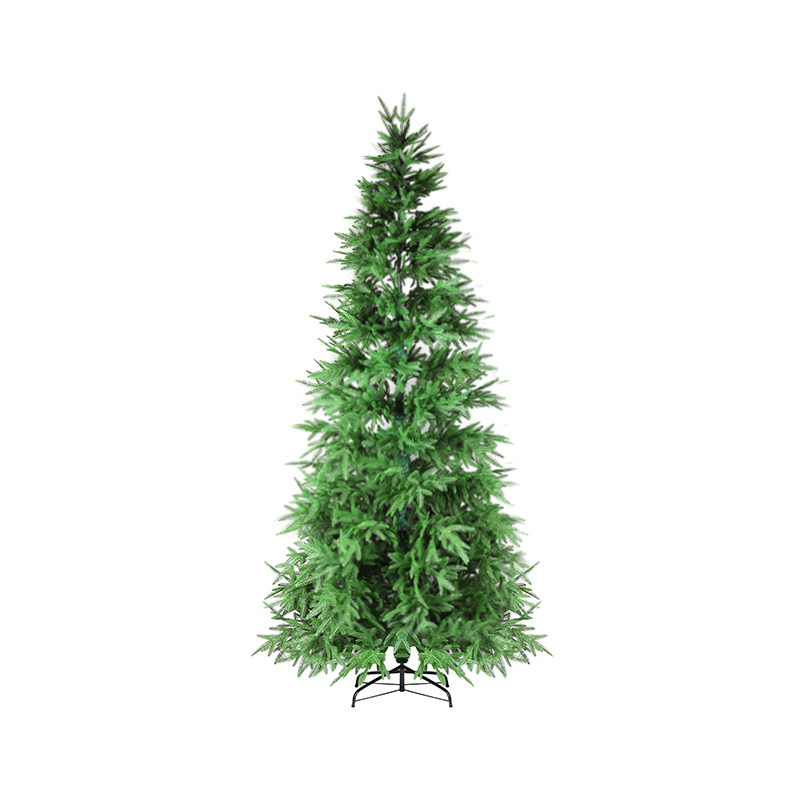 Jersey Fraser Fir Christmas Tree