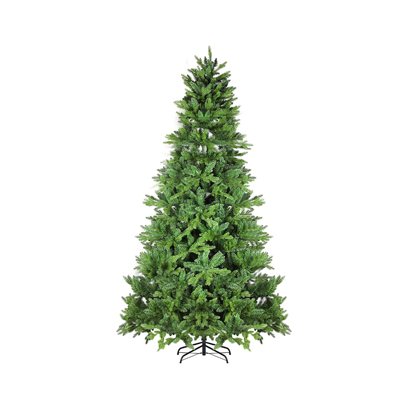 Jersey Fir Christmas Tree