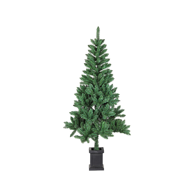 Atlanta Spruce Christmas Tree